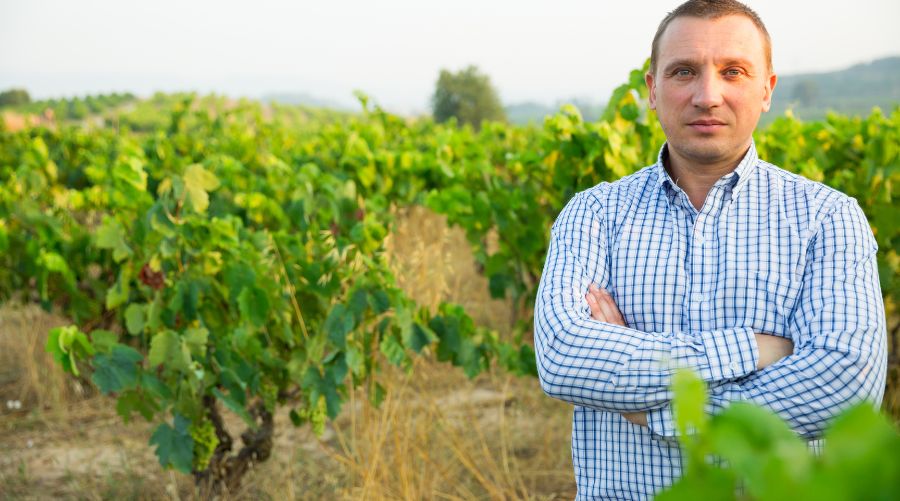 técnico en vitivinicultura