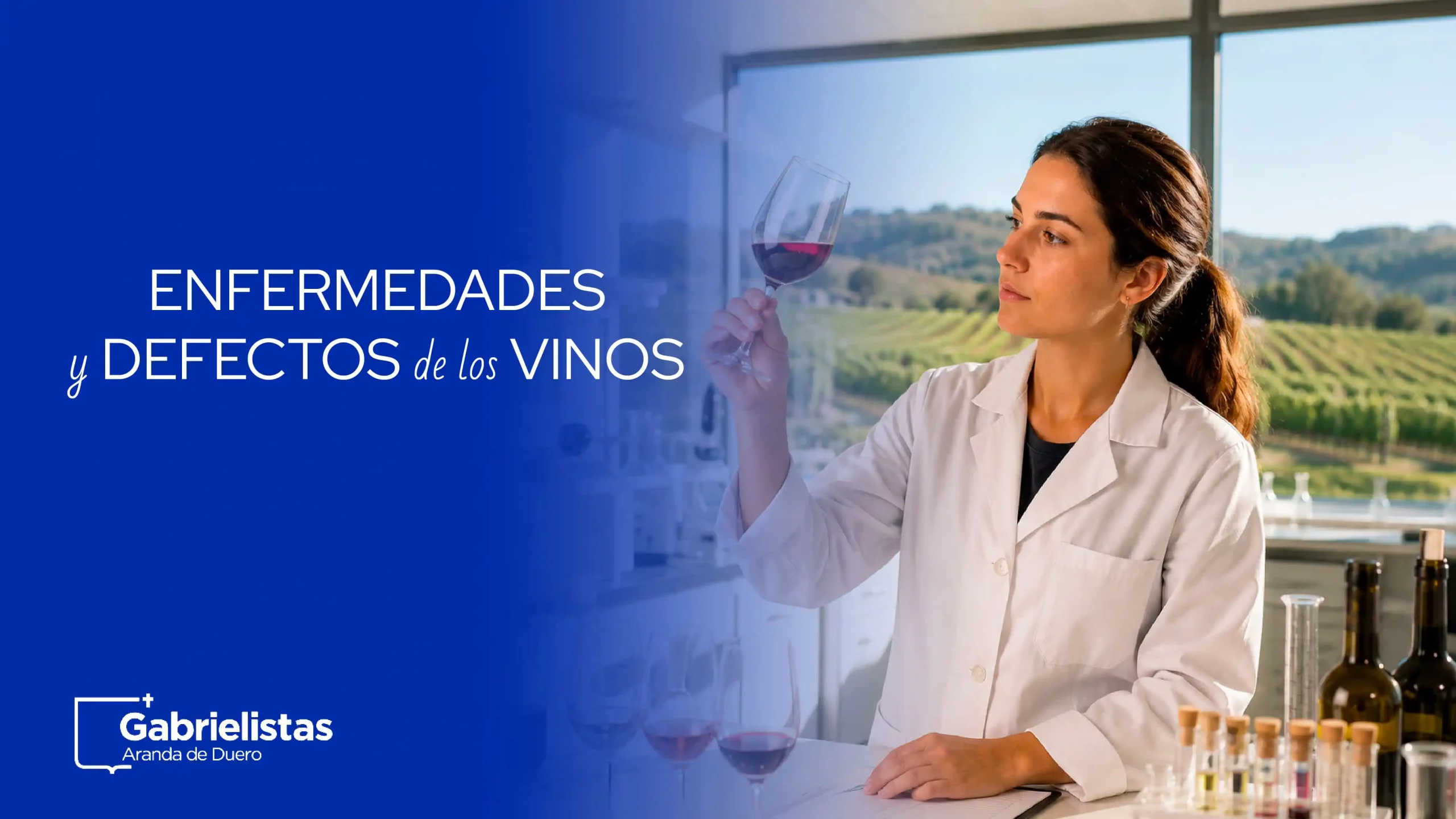 Enfermedades y defectos de los vinos