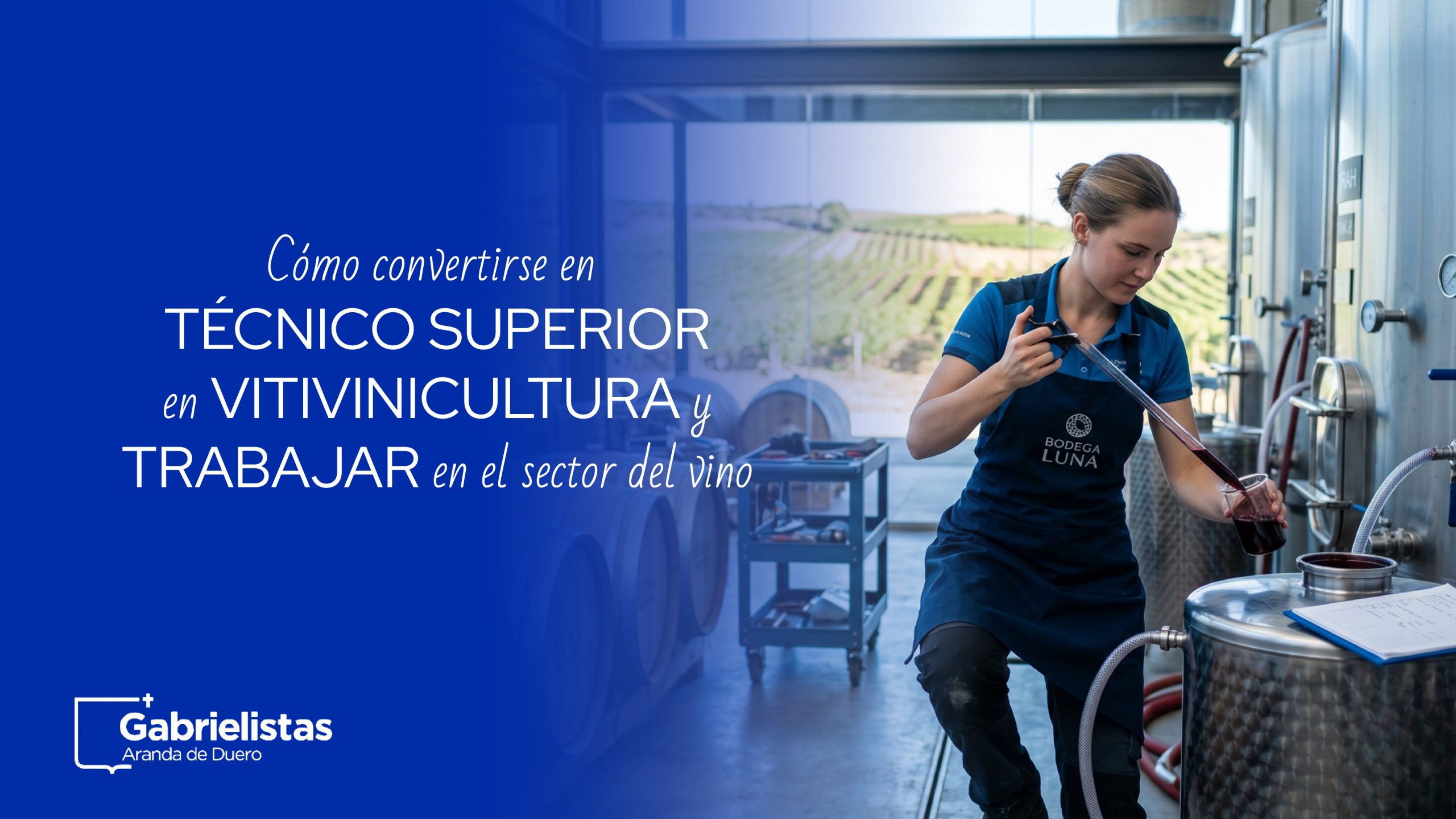 Cómo convertirse en técnico superior en vitivinicultura y trabajar en el sector del vino