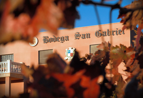El secreto de la Ribera del Duero: La Escuela de Enología con viñedo propio